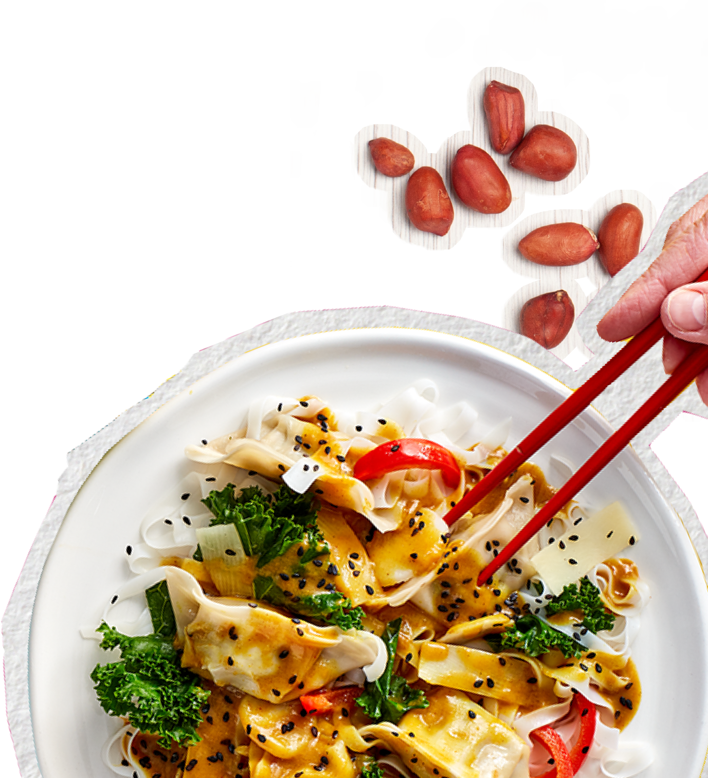 Plate of vegan dumplings with chopsticks