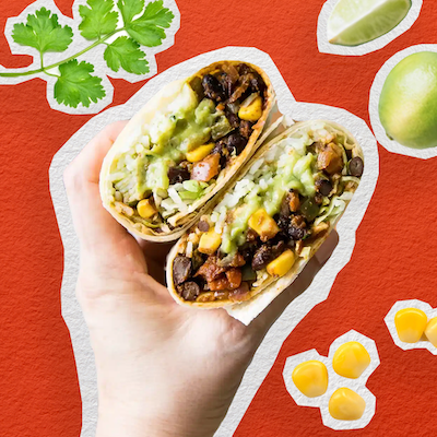 An image of a hand holding a vegan burrito