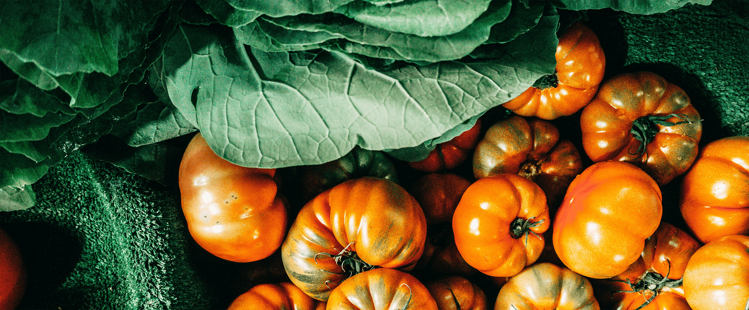 Tomatoes and green leaves