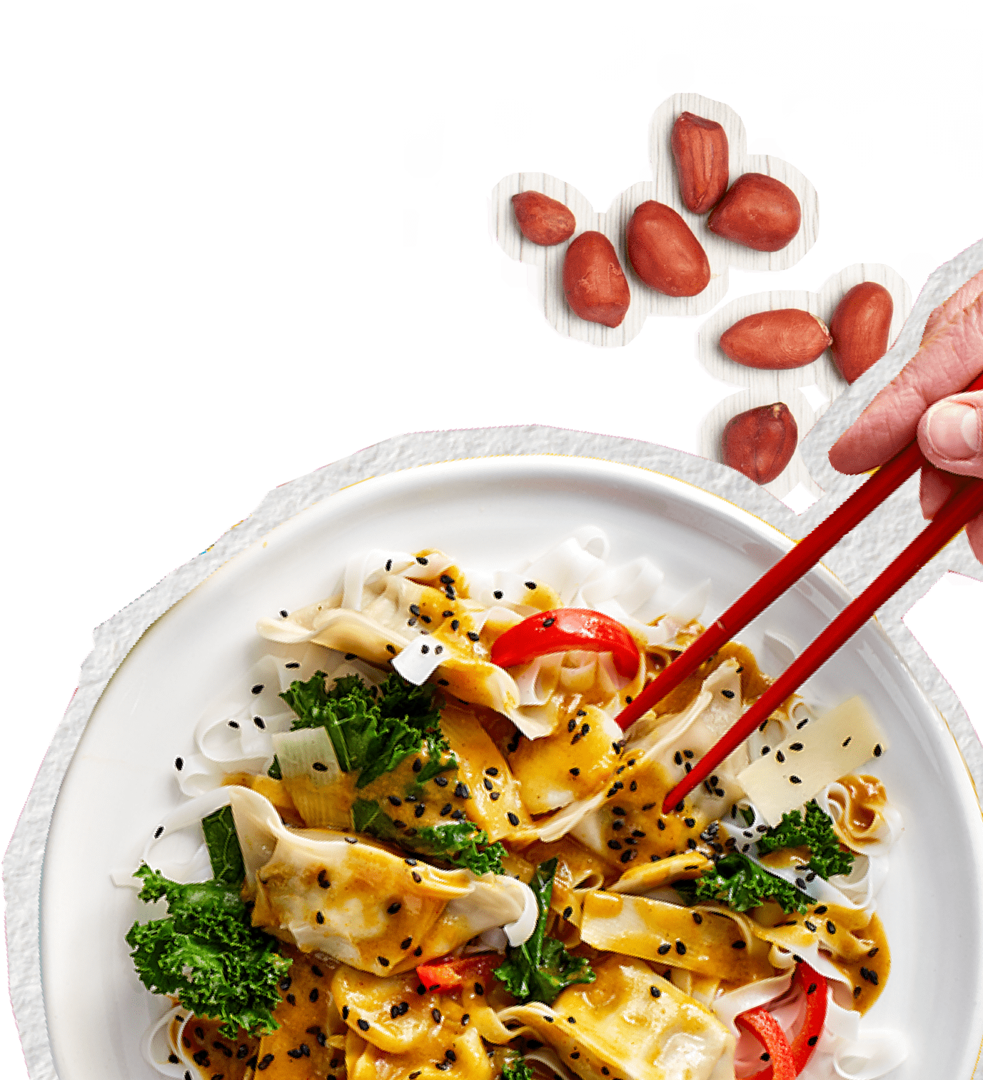 Plate of vegan dumplings with chopsticks